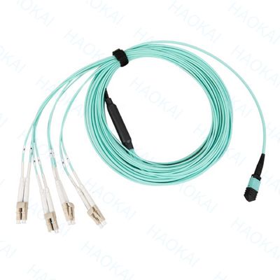 Breakout Single Mode Sc Fibre Optic Patch Cord 12 Core Duplex OS2