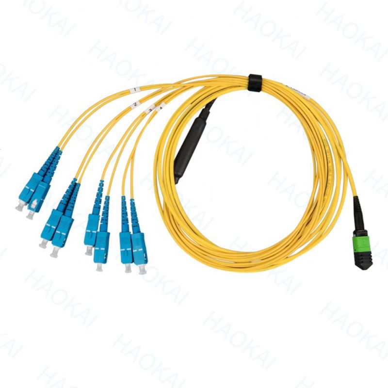 Breakout Single Mode Sc Fibre Optic Patch Cord 12 Core Duplex OS2
